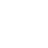 digiconnect solutions logo (1)